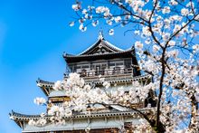 Hiroshima Castle, Japan 