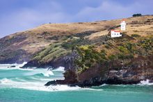 Arrival in Dunedin, New Zealand 