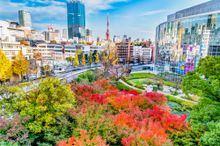 Autumn in Tokyo