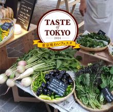 Taste of Tokyo