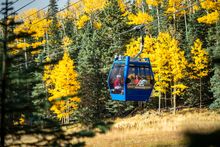 Enjoy Leaf Peeping at Snowbowl in Flagstaff 