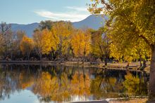 Leaf Peeping in Arizona - Cottonwood - Dead Horse lagoon fall 