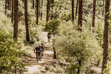 Leaf Peeping in Arizona - Bean Peaks Downhill Mountain Biking Prescott Az 