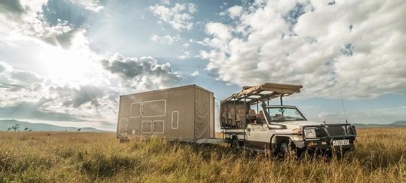 Roving Bushtops on the move in the Serengeti