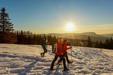 Snowshoeing - Isere