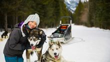 Huskies in Swedish Lapland