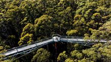 Family Experiencing Valley of the Giants, Tree Top Walk (Tourism Western Australia)