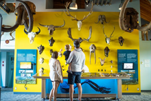 Beringia Interpretive Centre