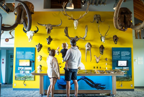 Beringia Interpretive Centre