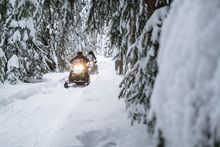 Snowmobiling through the boreal forest in Dawson City, Yukon