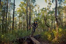 Mountain biking trails in Collie