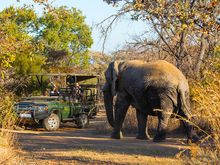 Mabula Lodge Safari