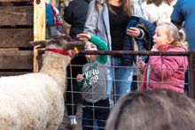 SpiritFest is a pre-parade event hosted by Clarksville area churches and includes crafts, music, a petting zoo, food and more.