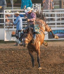 A rider attempts to stay on a bucking bronco during the Bullskin Rodeo in Pennsylvania's Laurel Highlands.