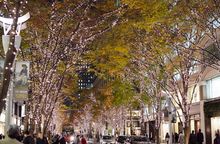 Marunouchi Naka-dori Street illuminations