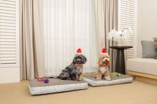 Conrad Singapore Orchard - Festive Pawfect Getaway 1