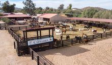 Ranchos de los Caballeros in Wickenburg was honored in Conde Nast Traveler’s Best Resorts in the World 2024 list.