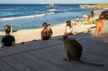 Evolve in You Yoga on Rottnest Island