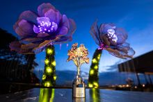 French Design Award Platinum Winner statuette displayed against The Mirabilis Bar centrepiece