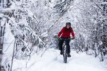 Fat Biking in the Yukon