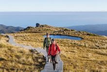 Tuatapere Hump Ridge Track - Southland New Zealand 