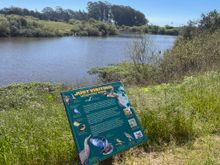 Antonelli Pond in Santa Cruz, California