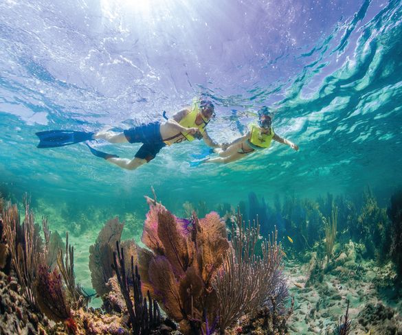 Florida Keys National Marine Sanctuary Photo Credit: Matt McIntosh