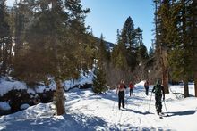 Cross country skiers will find plenty of scenic trails near the East Gate to Yellowstone National Park. 