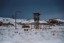 The lonely remains of a guard tower are visible at Heart Mountain, where 14,000 Japanese-American citizens were forced to relocate during World War II.  2025 marks the 80th anniversary of the final departures of incarcerated Americans from the Heart Mount