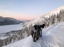 Dawson City Fat Bike Blues