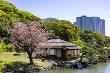 Toyko, Japan