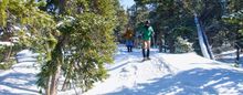 Head to nearby Rock Mountain National Park for a fun winter adventure