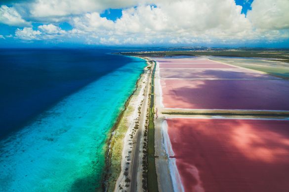 Bonaire Salt Pans