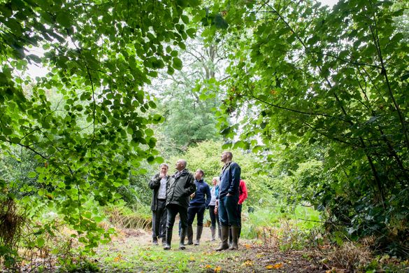 The National Forest Walking Festival celebrates its 16th year of exploration, inspiration, and accessible adventures 