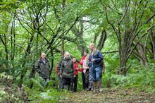 The National Forest Walking Festival celebrates its 16th year of exploration, inspiration, and accessible adventures 