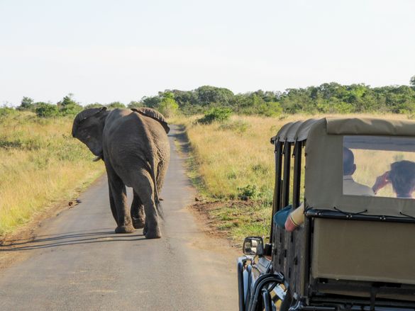 2009 Ben - Kluhluwe NP - South Africa