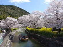 Yamashina Sosui canal 1