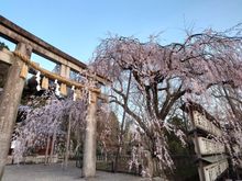 Oishi Jinja Shrine (in Yamashina, Kyoto)