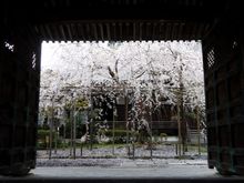 Bishamondo Temple 2 (in Yamashina, Kyoto)