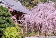 Bishamondo Temple 1 (in Yamashina, Kyoto)