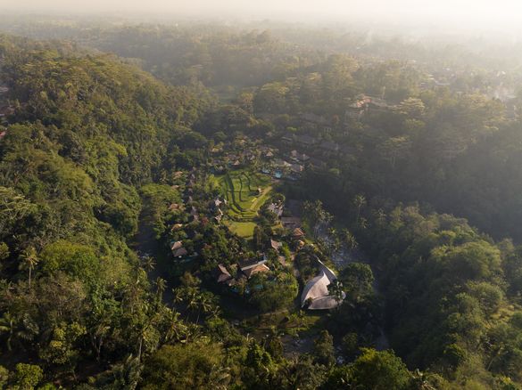 Mandapa, a Ritz-Carlton Reserve Aerial View