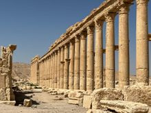 Palmyra 