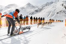 Schlittenunderennen in Sportgastein