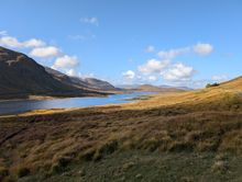 Wildlife Tours for watching and photography, Outer Hebrides, Scotland