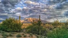 Discover Oro Valley with the New Explore OV App