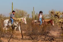 Valentine Day’s Adventures in Arizona