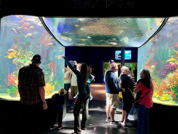 The Daytona Aquarium & Rainforest Adventure, the destination's first aquarium offering, will open phase two with an indoor rainforest in 2025. 