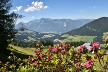 Almrosentage im Tiroler Alpbachtal Seenland