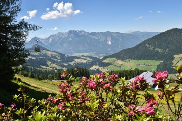 Almrosentage im Tiroler Alpbachtal Seenland Almrosentage im Tiroler Alpbachtal Seenland