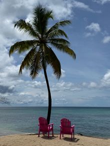 Beach View